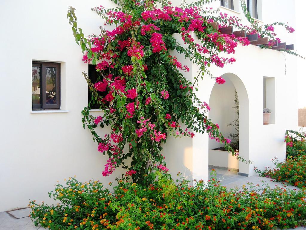 Aura Holiday Villas Paphos Eksteriør billede